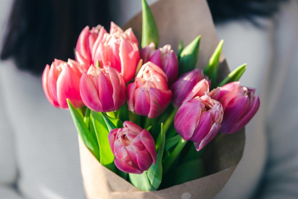 Close-up, a bouquet of pink tulips in craft paper in female hands. (Getty Images)