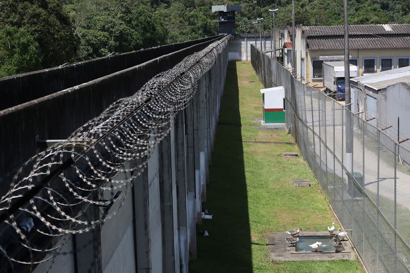 In a Florianapolis prison, a group of geese alerts the surveillance team if an inmate attempts to escape