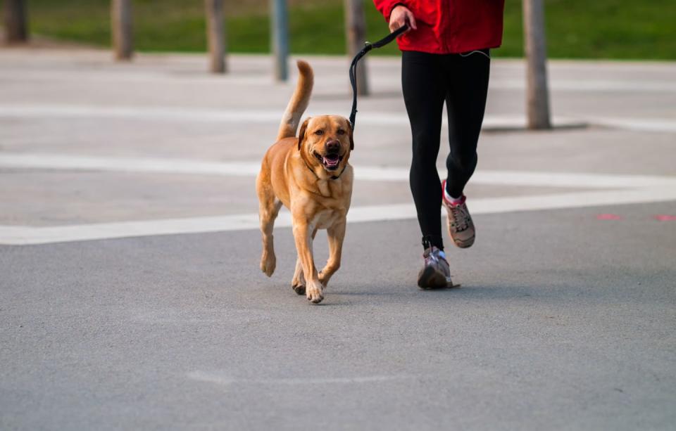 Remember Everyone Is a Runner