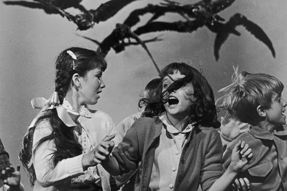 A group of schoolchildren flail about in terror at the avian attack in a publicity still for 'The Birds', directed by Alfred Hitchcock for Universal, 1963. (Photo by Archive Photos/Getty Images)