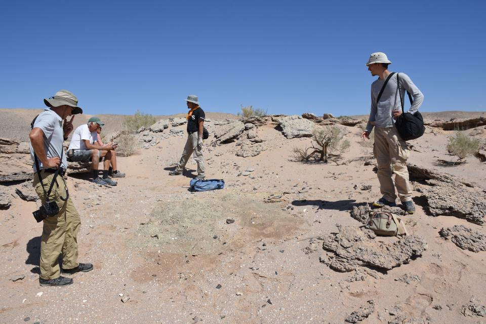 Members of the University of Edinburgh-led team in the Gobi Desert in MongoliaDr Gregory Funston/PA Wire