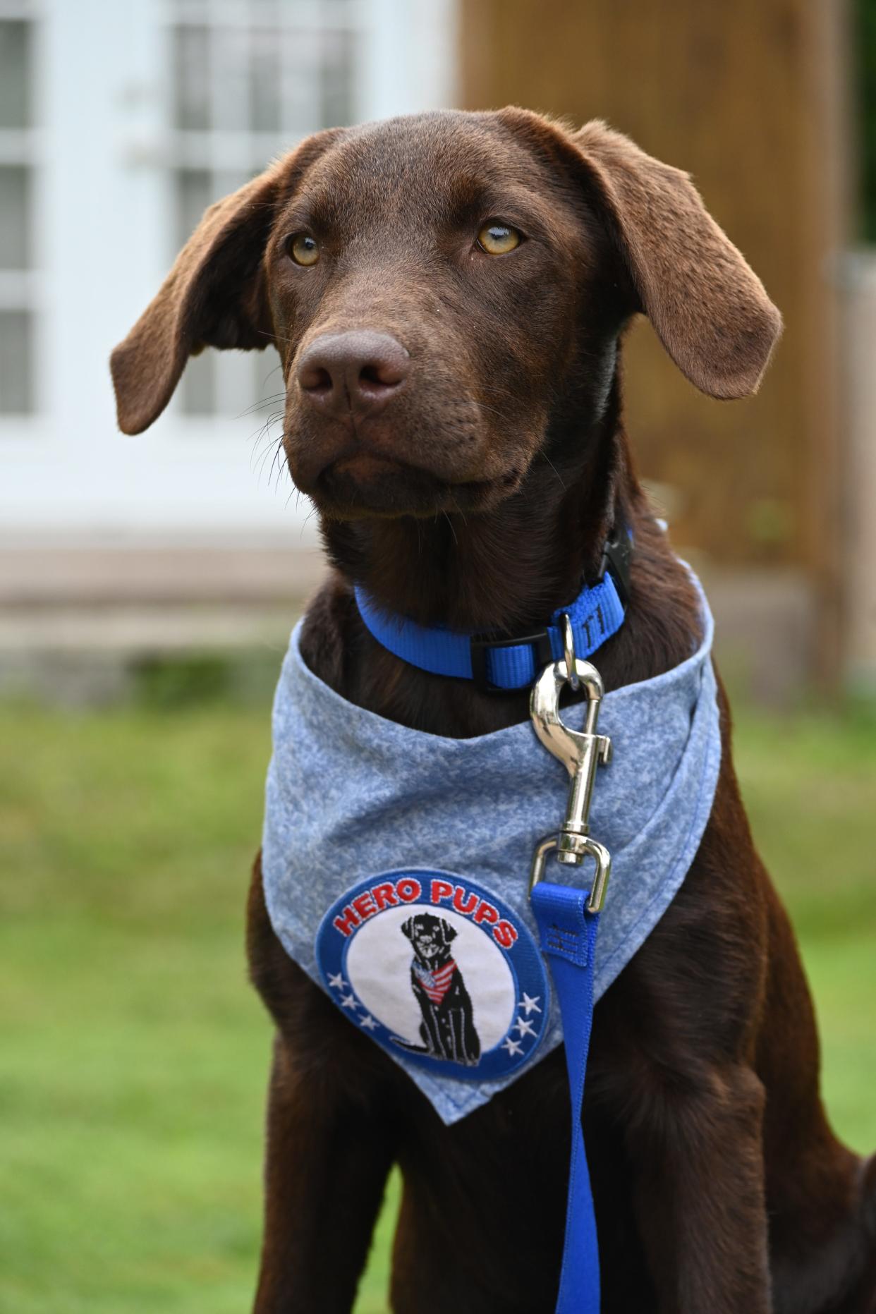 The new comfort dog will make her big public debut on National Night Out on Tuesday, Aug. 2, from 4 to 7 p.m. at Swasey Parkway.