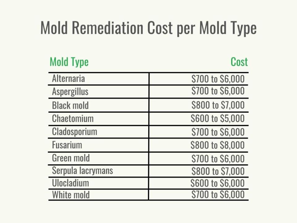 Mold Remediation Cost per Service for a Profession - 1