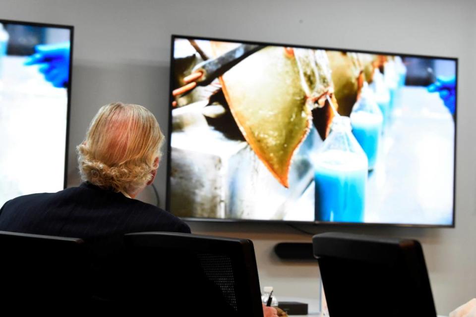 South Carolina Gov. Henry McMaster watched a video on the bleeding of horseshoe crabs while touring Charles River’s Charleston facilities in August. That same month, he met with DNR director Robert Boyles to discuss the company’s proposal.