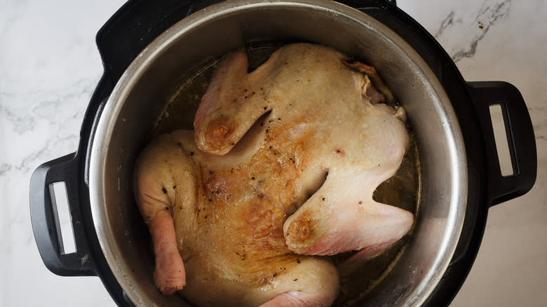 duck in instant pot