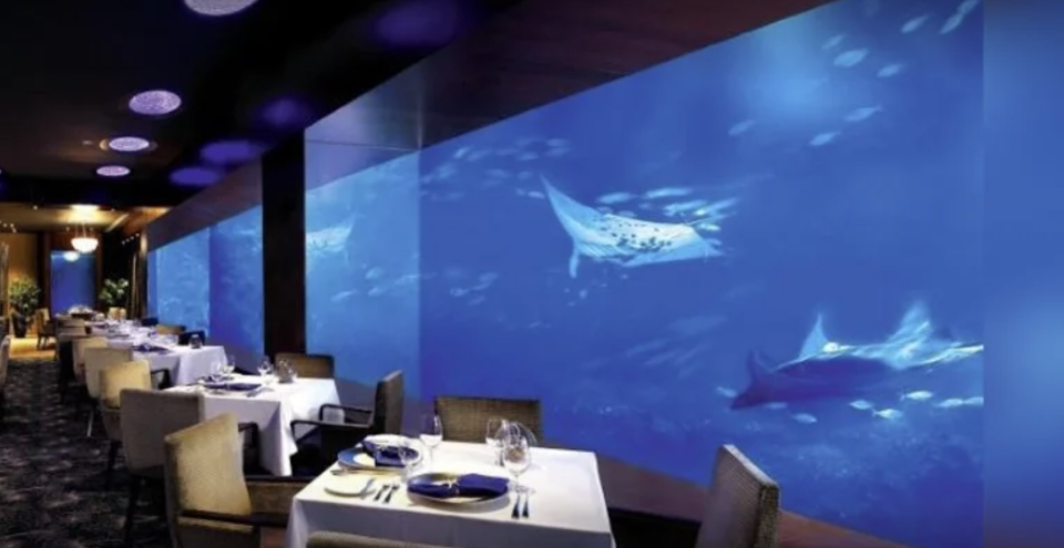 PHOTO: Klook. Air & Sea Immersive Dining Experience