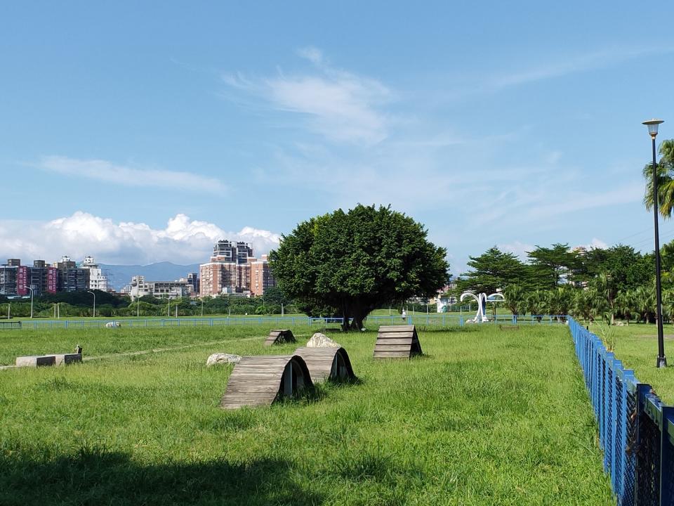 綠寶石寵物公園-場內的棧橋等都是熱門好玩的設施。   圖：新北市高灘處提供