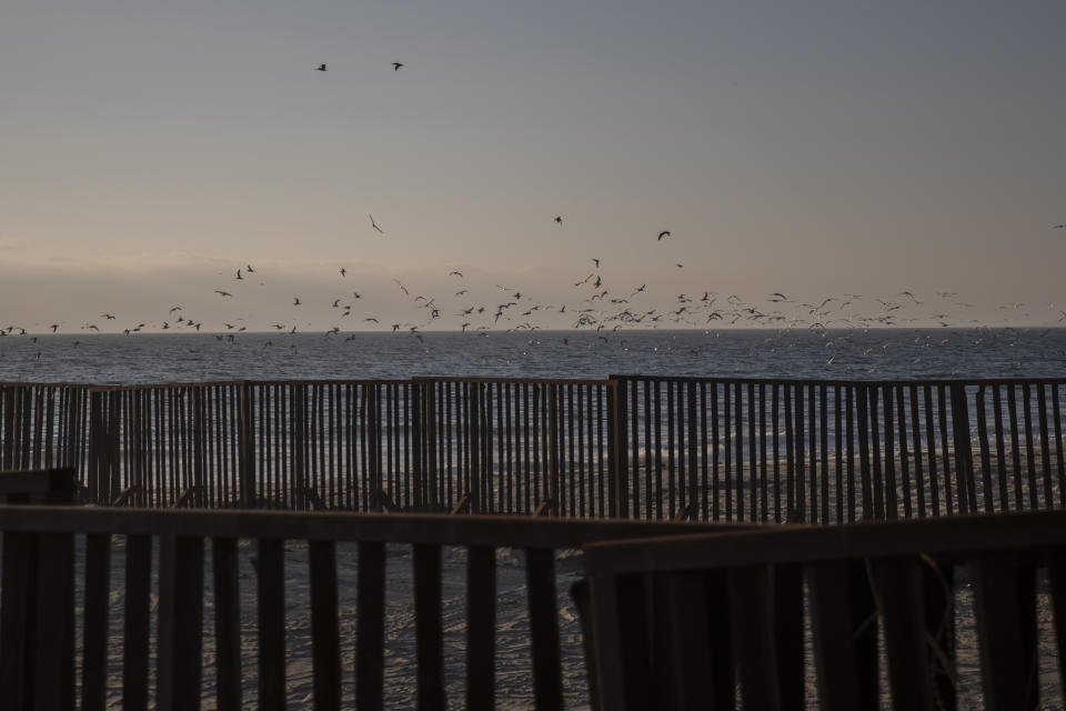 Seagulls fly over a border wall separating Tijuana and San Diego, in Tijuana, Mexico, Tuesday, Sept. 26, 2023. While many places in Mexico provide shelter for migrants from other countries, some shelters in Tijuana have seen an influx of Mexicans fleeing violence, extortion and threats by organized crime. (AP Photo/Karen Castaneda)