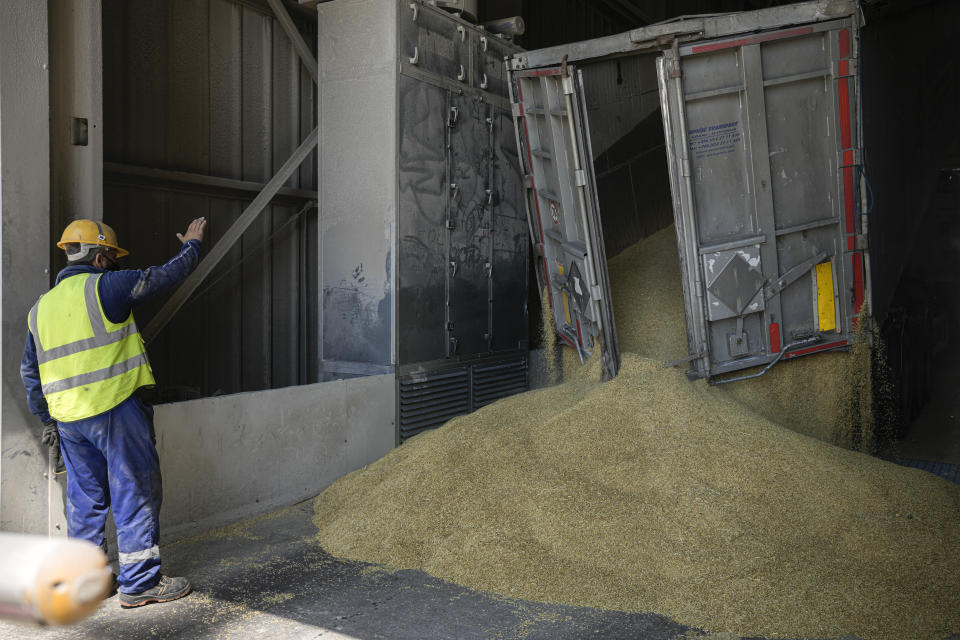 An employee of the Romanian grain handling operator Comvex oversees the unloading of cereals from a truck in the Black Sea port of Constanta, Romania, Tuesday, June 21, 2022. While Romania has vocally embraced the ambitious goal of turning into a main hub for the export of agricultural products from Ukraine, economic experts and port operators in the country warn that it was much easier objective to set than to actually achieve. (AP Photo/Vadim Ghirda)