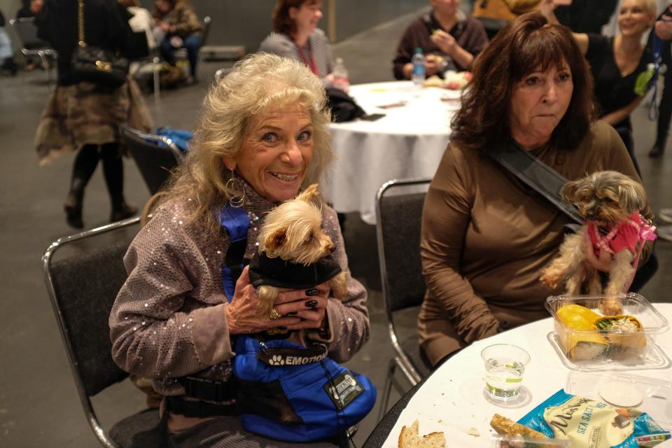 Inside PetCon 2018, the largest gathering of Insta-famous pets—and those aspiring to spon-con their sheepadoodle.