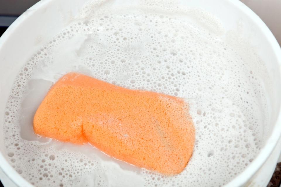 Large pink-orange sponge in a bowl of soapy water.