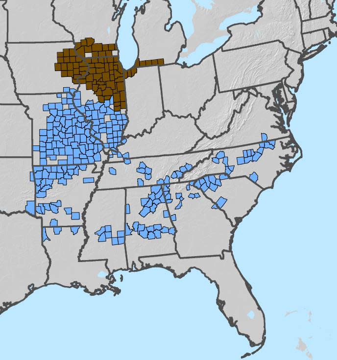 Map showing both 2024 cicada broods