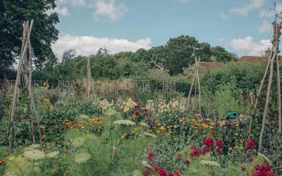 Sarah Raven uses many different methods to support her plants, including individual poles