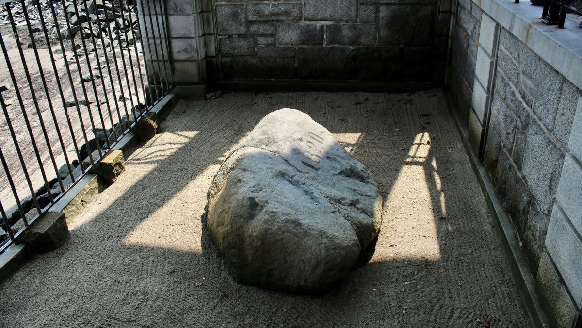 plymouth rock. 