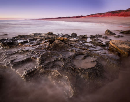 Dinosaur tracks in the Walmadany area. REUTERS/Courtesy University of Queensland/Damian Kelly