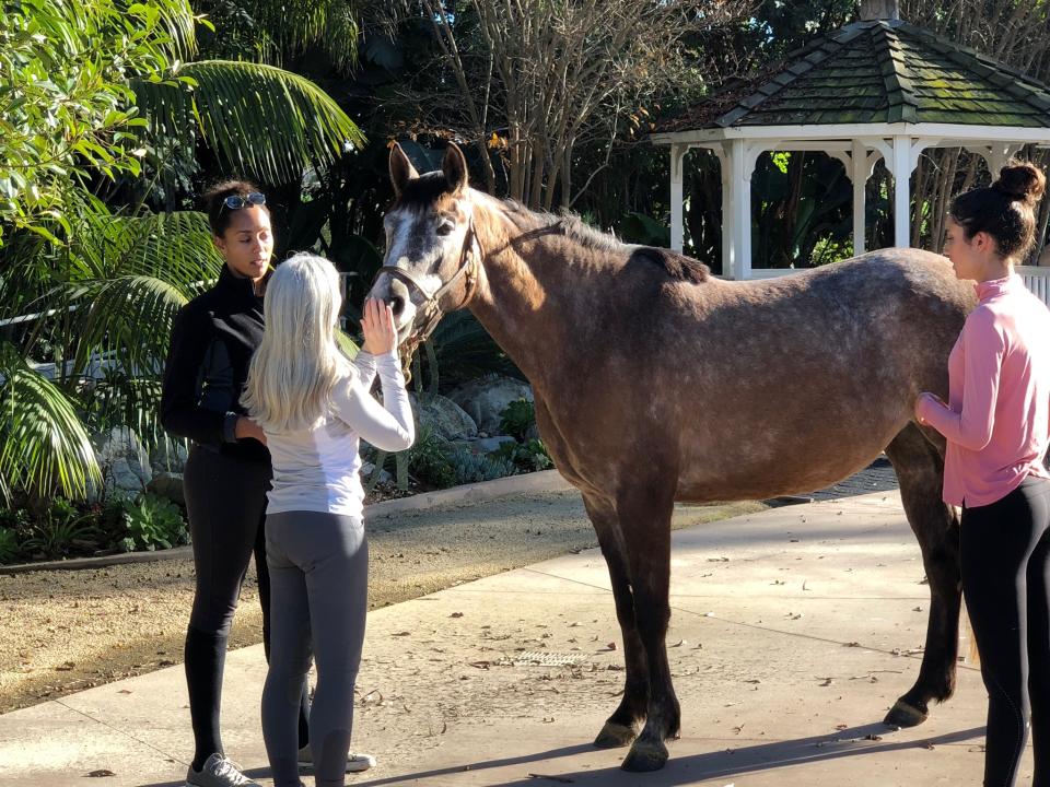 <p>„Ich liebe Pferde, seit ich denken kann”, sagte Melissa. „Ich hatte Mühe, mich konsequent dem Yoga-Studio zu widmen und gleichzeitig regelmäßig zu reiten. Ich bin über Equine OM gestolpert, ein Zertifizierungsprogramm, um Pferde-Yogalehrer zu werden. Ich wusste sofort, dass dies genau das Richtige für mich war.“ Foto: Quelle / Spirit Horse Yoga </p>