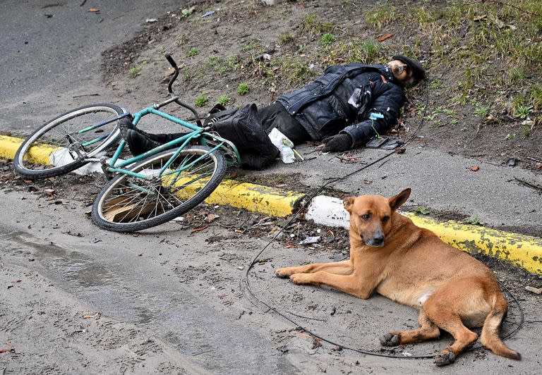 Guerra en Ucrania; Ukraine; 100 días de guerra; Rusia; Russia; fotos del día;