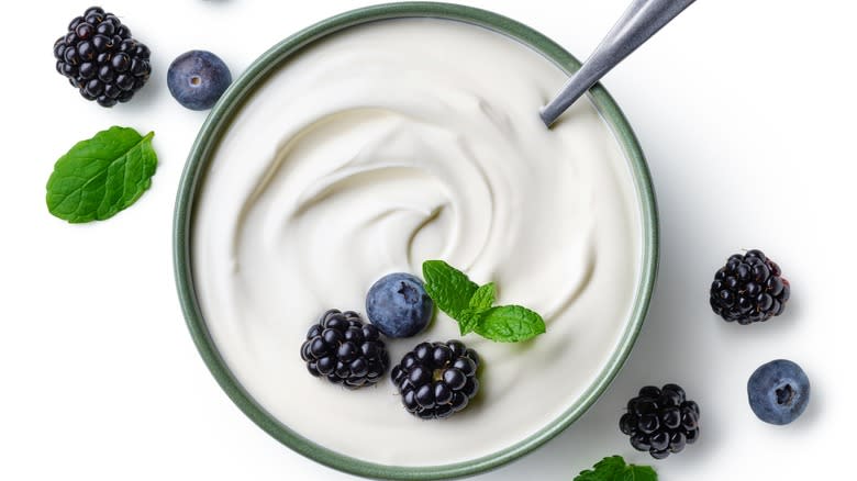 Bowl of yogurt with berries