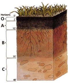A soil profile diagram showing the different layers of earth.
