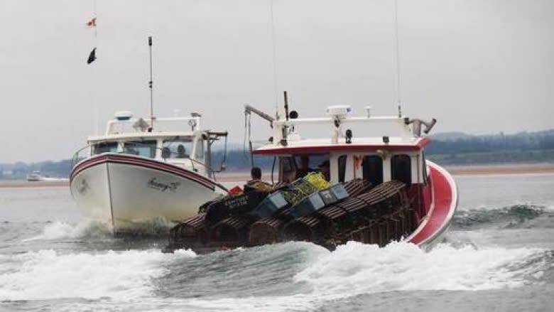 Fishermen told to remove gear from gulf areas to protect right whales