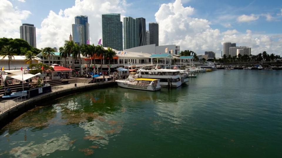 boats docked at the bayside market pier with the miami skyline, miami, florida, usa