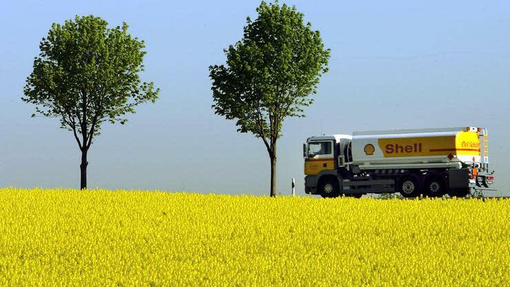 Die Mehrheit der Deutschen hält Rohstoffe aus nachhaltigen Quellen für sinnvoll. Foto: dpa