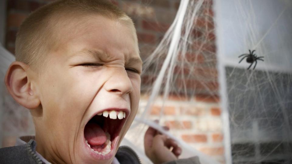 Niño asustado por una araña