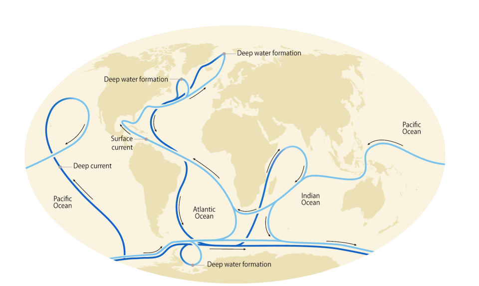 The global ocean circulation system. MAPHOTO / RICCARDO PRAVETTONI VIA GRID-ARENDAL