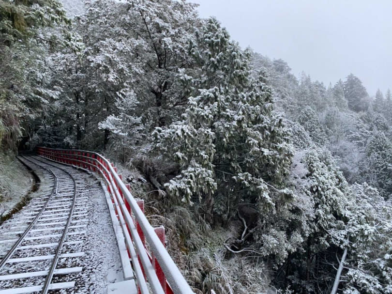 太平山國家森林遊樂區，蹦蹦車道披上銀霜。(圖／林業署宜蘭分署提供)