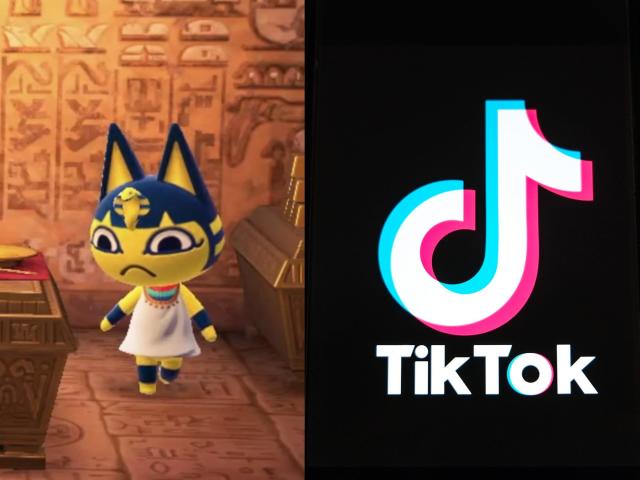 Amateur Porn Memes - Homemade porn inspired by Animal Crossing is going viral on TikTok and  across the internet, sparking a wave of memes