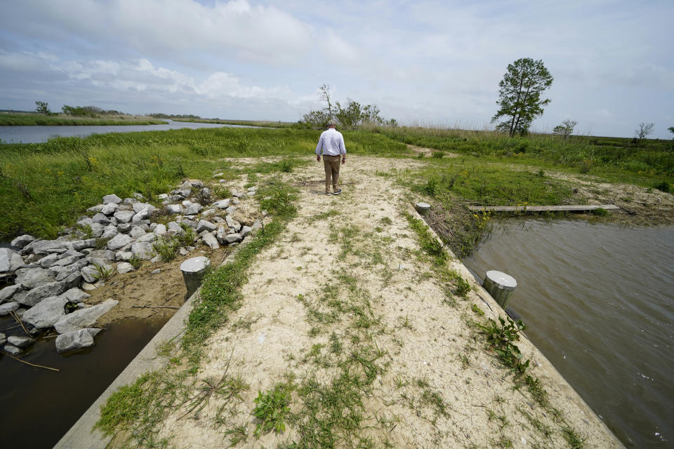 CEO and president Harold Osborn, great-great-grandson of the McIlhenny Co.'s founder, walks on a weir that was financed by Ducks Unlimited as a marsh preservation effort, on Avery Island, La., where Tabasco brand pepper sauce is made, Tuesday, April 27, 2021. While sinking land is a problem throughout southern Louisiana, Avery Island and four smaller salt domes along the Gulf Coast are still slowly rising. But the danger from hurricanes remains. (AP Photo/Gerald Herbert)