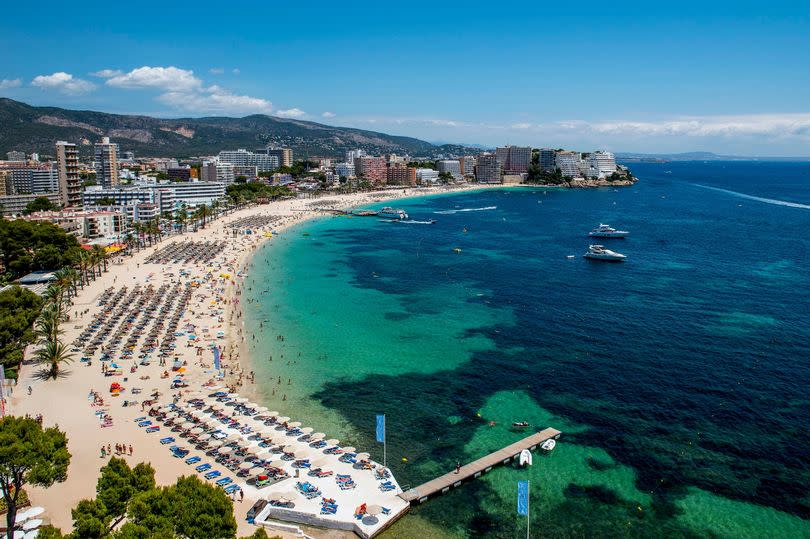 Tourist sunbathe at Magaluf