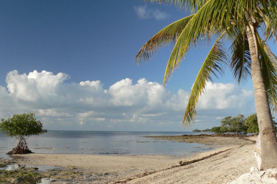 Book an All-Inclusive Stay on Big Pine Key