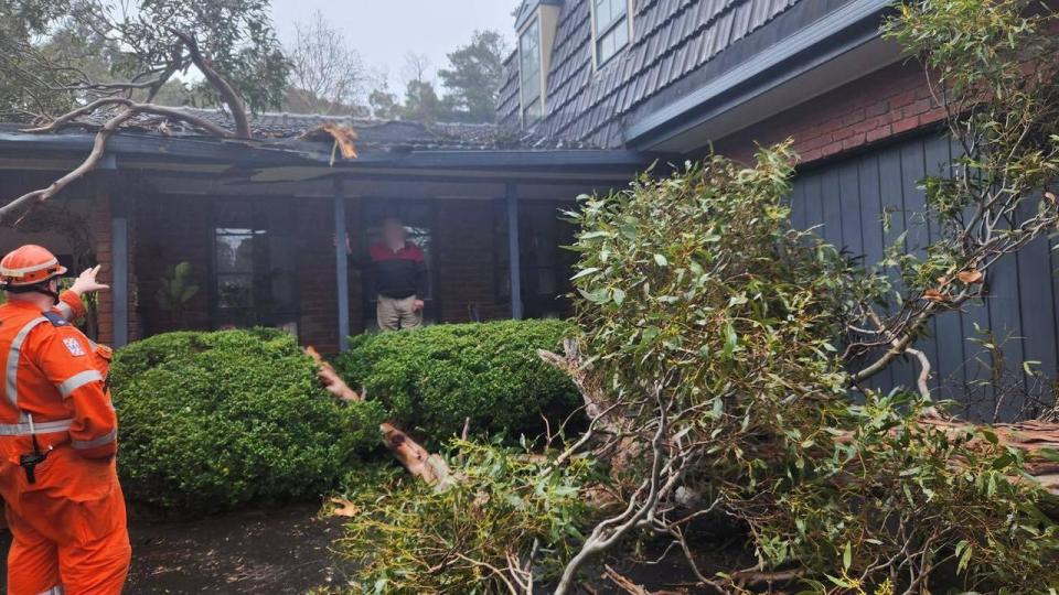 Emergency crews respond to a tree down at a property in South West Victoria