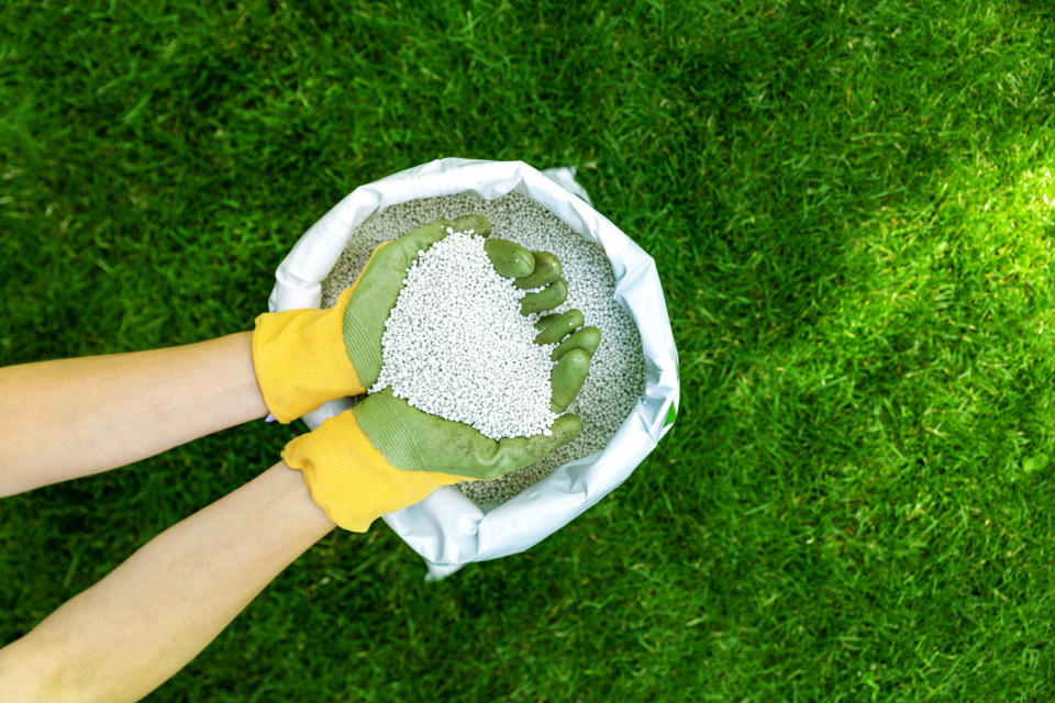 A granular fertilizer for perfect green grass