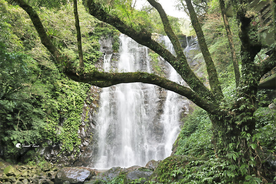 滿月圓國家森林遊樂區