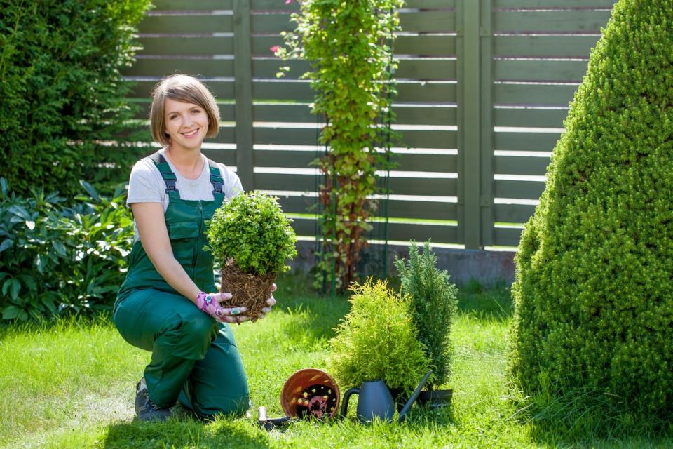 A smiling woman holds up a small shrub in a garden setting. 