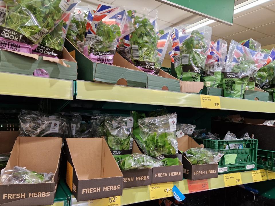 Fresh herbs at UK Aldi