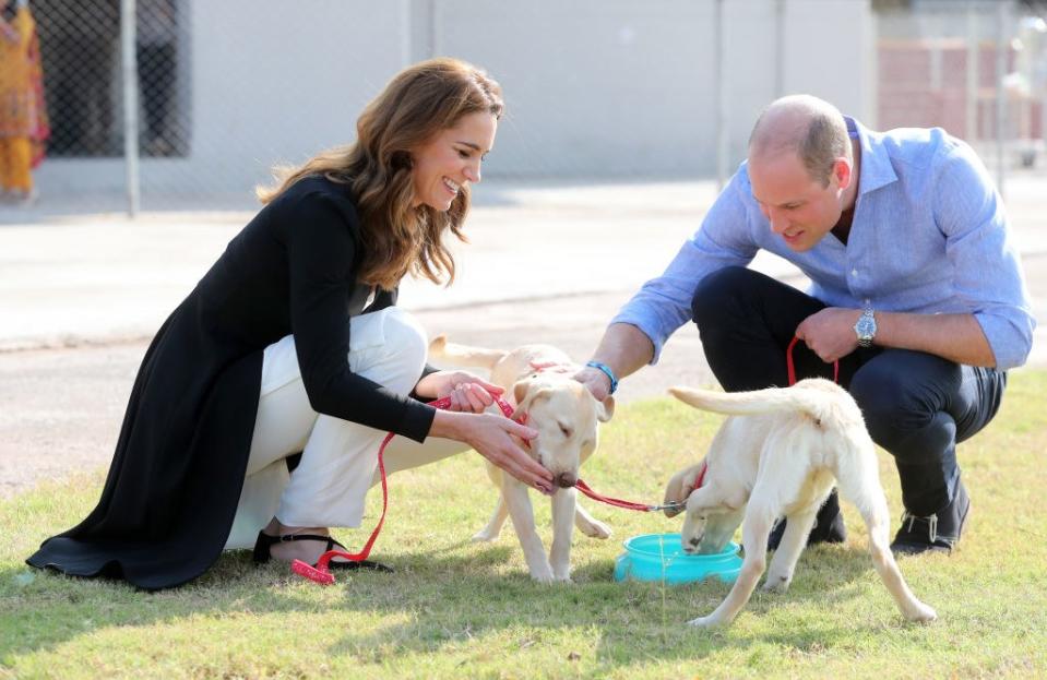 Kate Middleton and Prince William visit the Army Canine Centre in Pakistan.