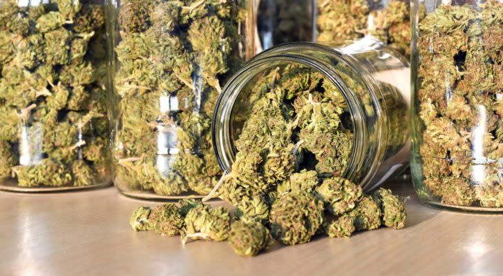 CRON stock: Glass jars filled with medicinal cannabis