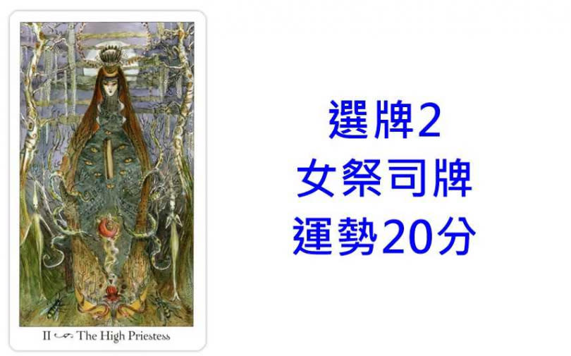 本次塔羅牌使用《寶琳娜塔羅Paulina Tarot》美國遊戲公司U.S. Games Systems, Inc. 出版。