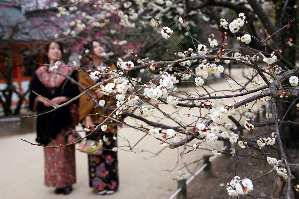 北野天滿宮（Photo by Koichi Kamoshida, Image Source : Getty Editorial）