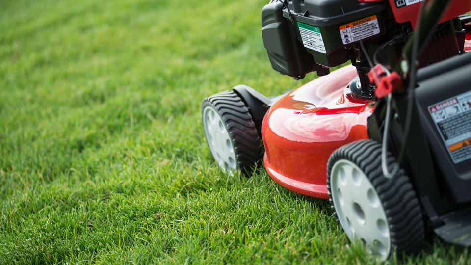 cutting a lawn with a petrol mower