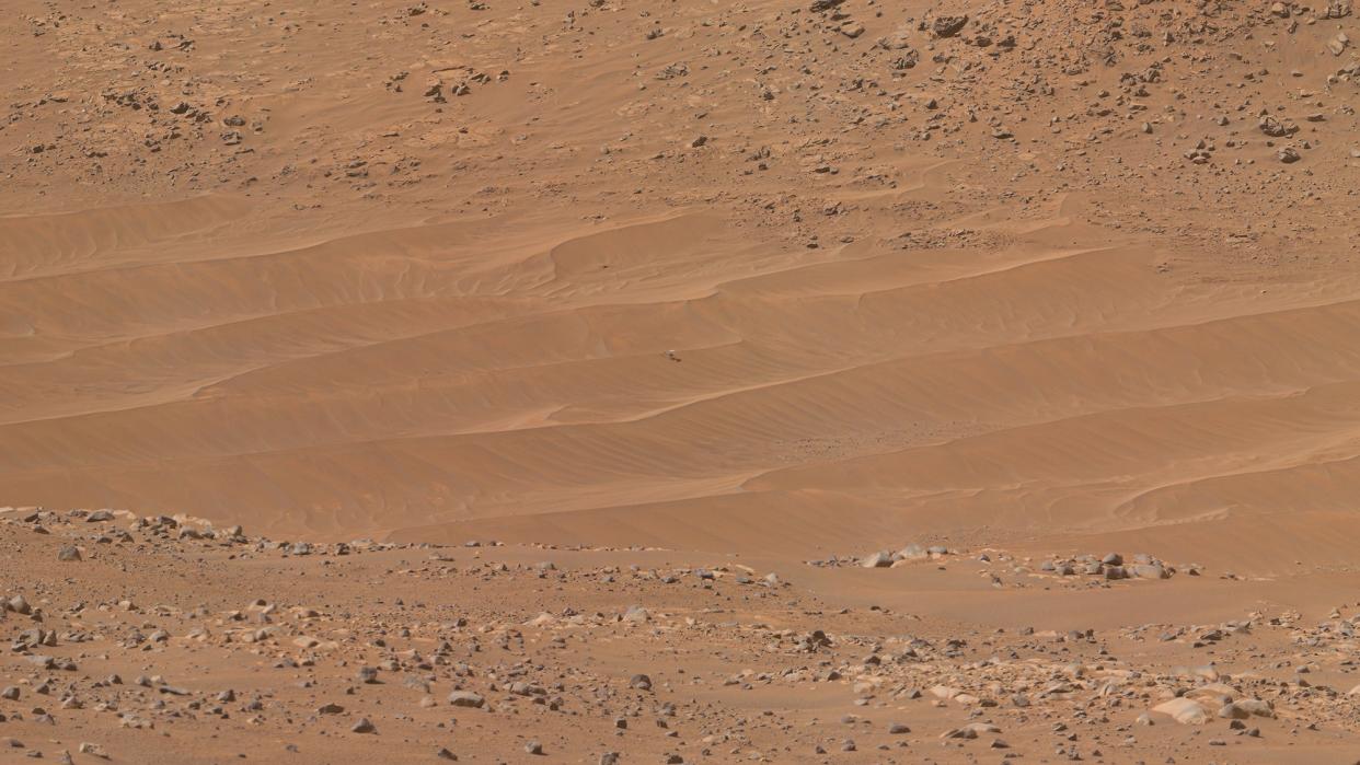 The Ingenuity helicopter sits on the surface of Mars on February 4, 2024.