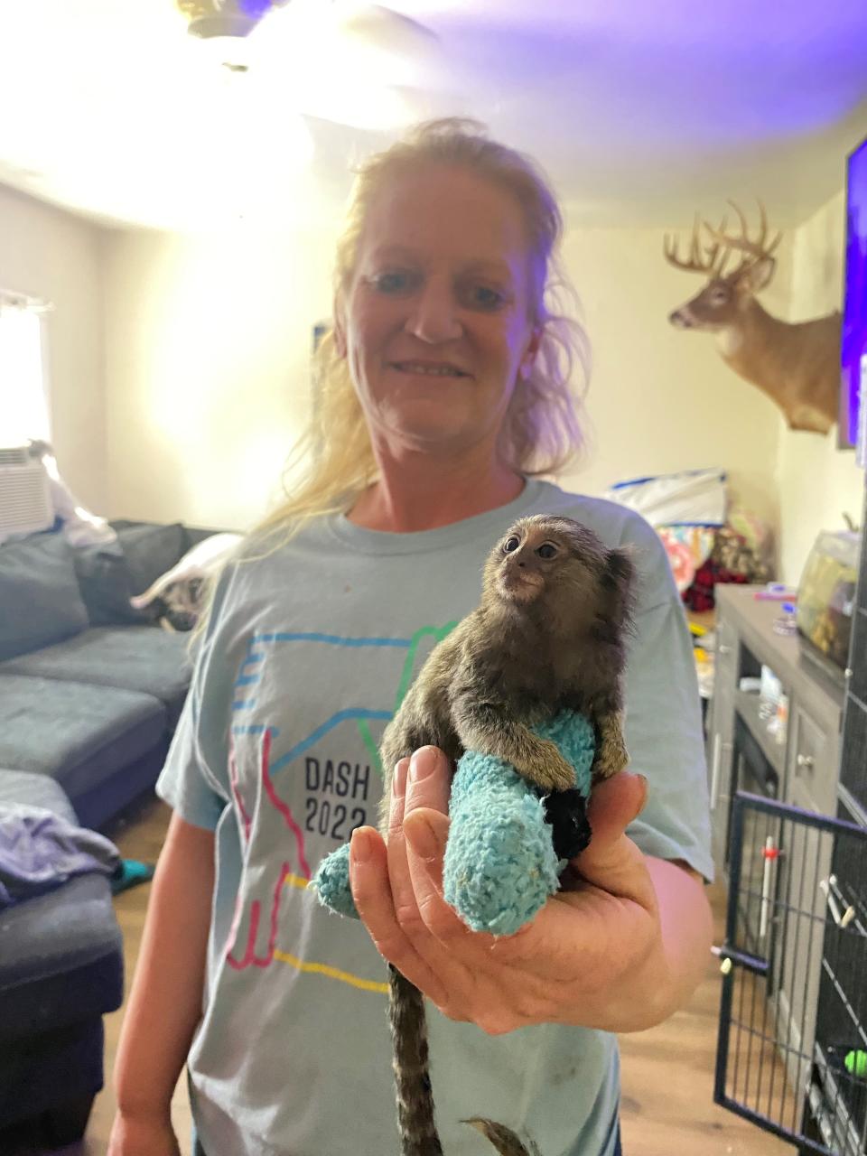 Renee Booher holds Miles, a marmoset, at her 1024 Burger Ave. home Wednesday.  This exotic animal and a kinkajou and about 76 dogs she and Michael Olar rescued, were seized by the Humane Society of Richland County. The couple's four family dogs and two exotics were returned to them Tuesday and Wednesday.
