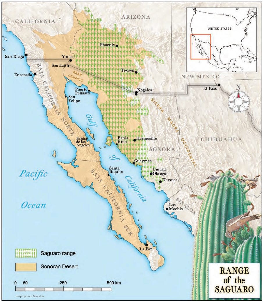 Range of the saguaro in the Sonoran Desert.