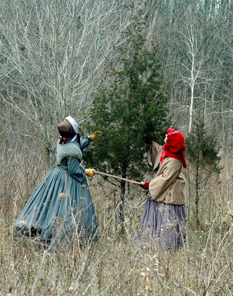 The ladies' parlor in the Wade House stagecoach hotel will be graced with a freshly cut Christmas tree.