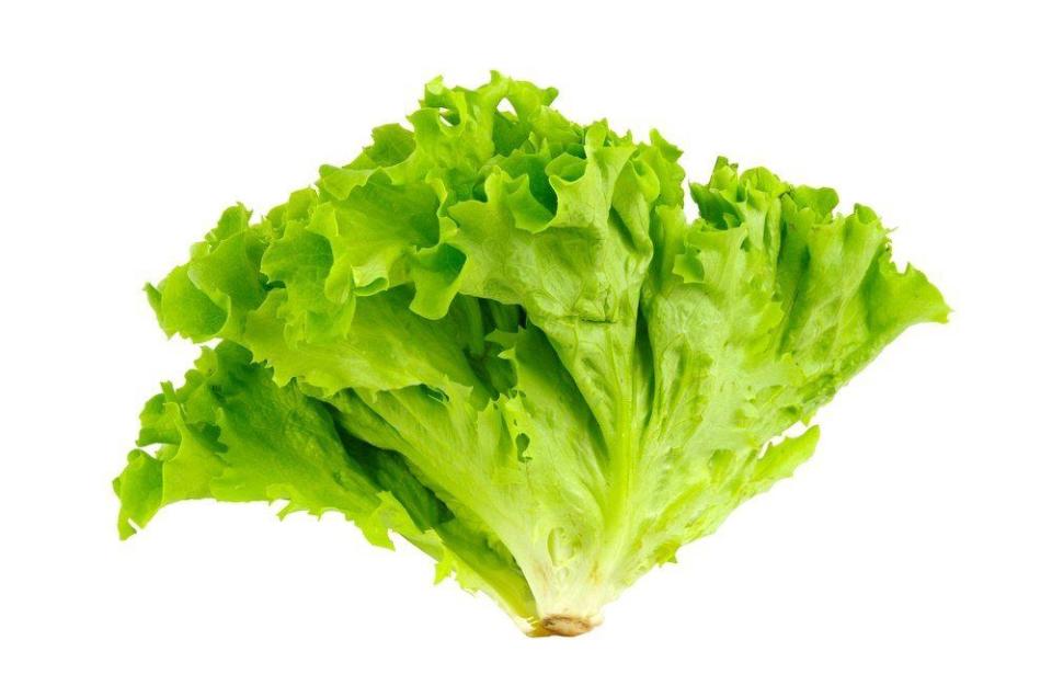 Trump’s Favorite Vegetable: Lettuce?