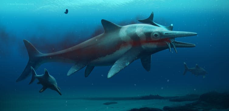 <span class="caption">A reconstruction of the Rutland ichthyosaur <em>Temnodontosaurus trigonodon</em>.</span> <span class="attribution"><span class="source">Bob Nicholls</span>, <span class="license">Author provided</span></span>