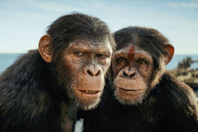 <p>20th Century Studios</p> (Left-right:) Owen Teague and Sara Wiseman in 'Kingdom of the Planet of the Apes'